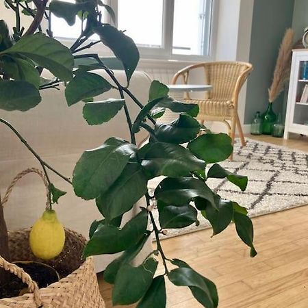 Le Citronnier Διαμέρισμα Fouesnant Εξωτερικό φωτογραφία