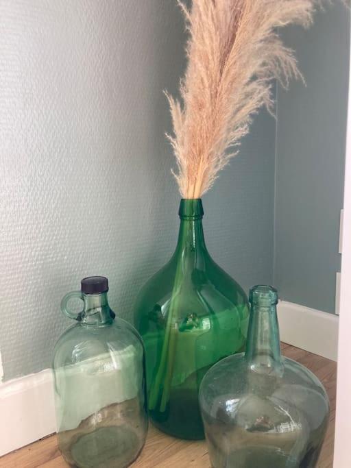 Le Citronnier Διαμέρισμα Fouesnant Εξωτερικό φωτογραφία